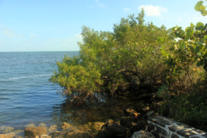 Biscayne National Park featured image