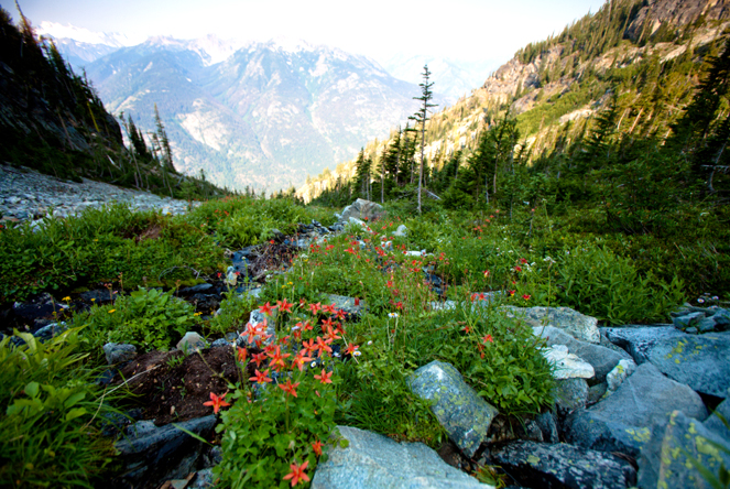 North Cascades National Park featured image